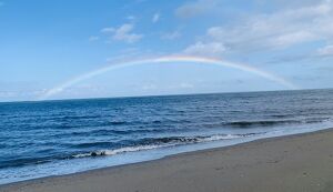 松名瀬海岸ビーチクリーン アイキャッチ
