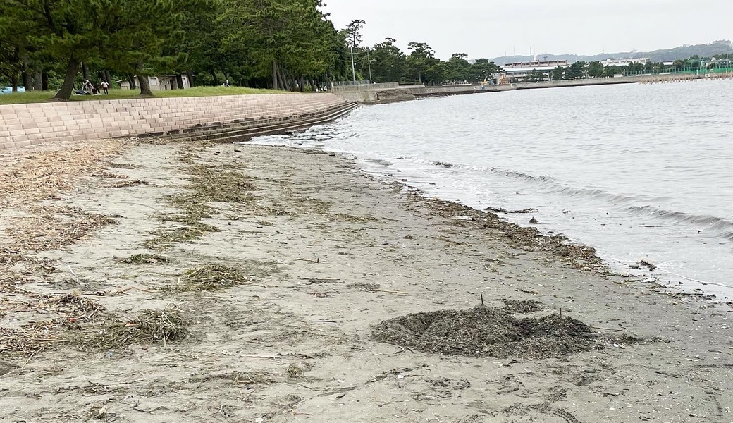 野島海岸ビーチクリーン アイキャッチ