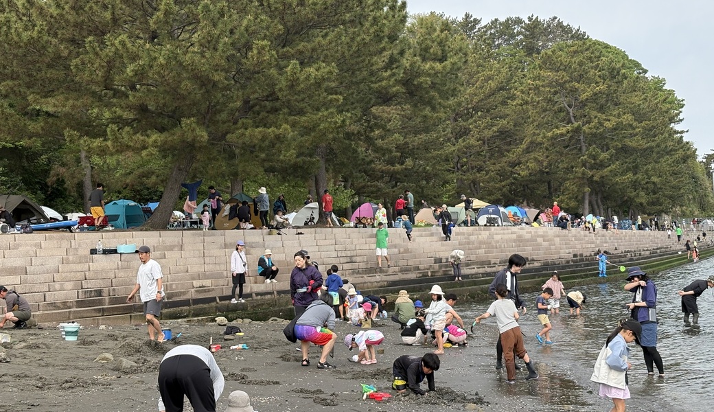 野島海岸ビーチクリーン レポート