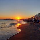 未来の浜辺 プロフィール