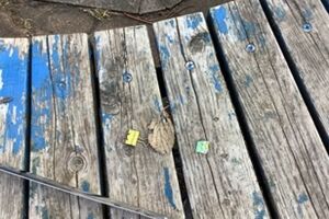 第一回目　さわやか公園と鶴見川のスポーツセンター沿い アイキャッチ