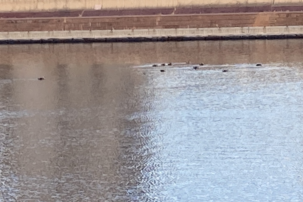 手が冷える アイキャッチ