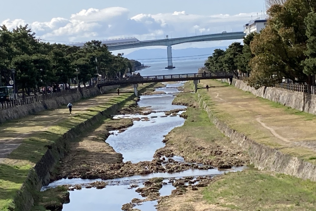 海へ向かって アイキャッチ