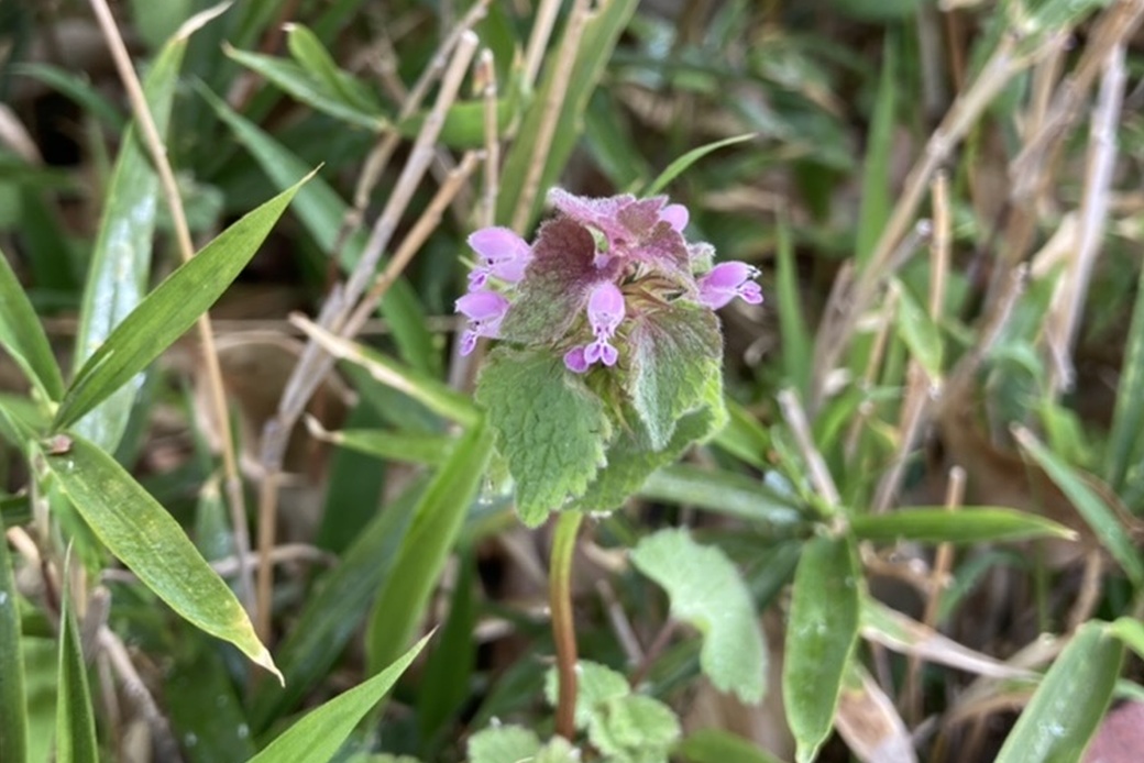 暑いくらい アイキャッチ