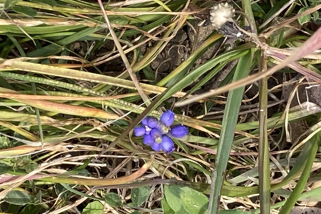久々昼間に出ると アイキャッチ