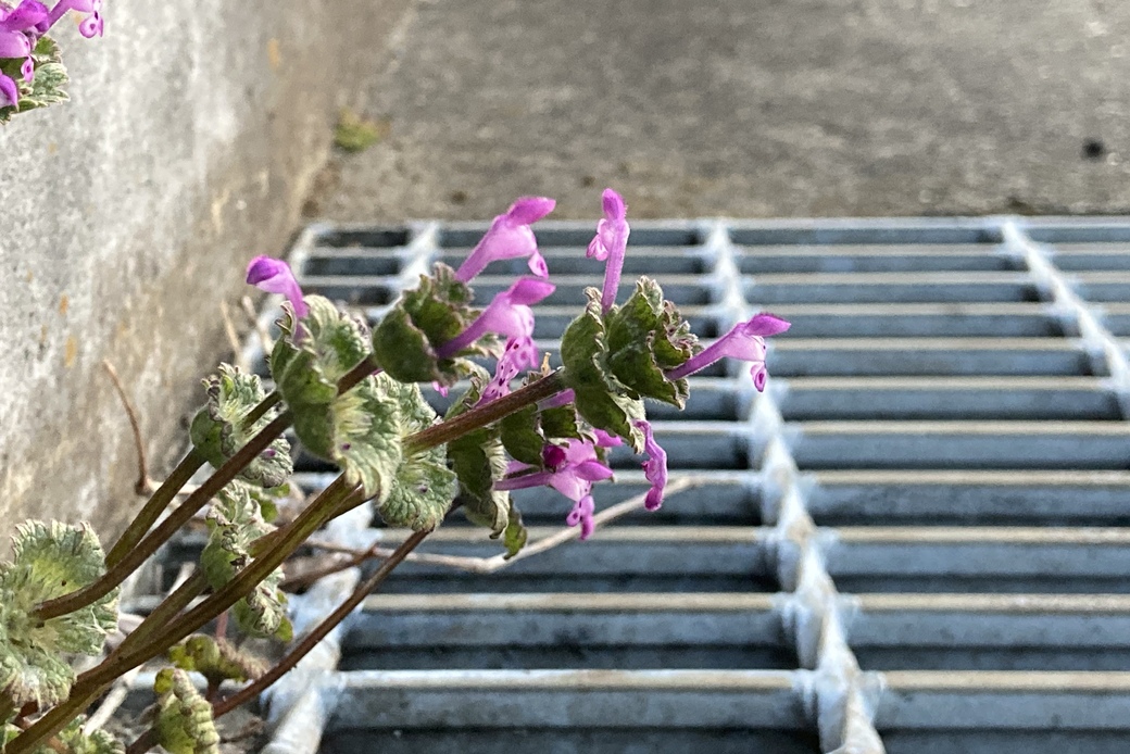 いい色 アイキャッチ