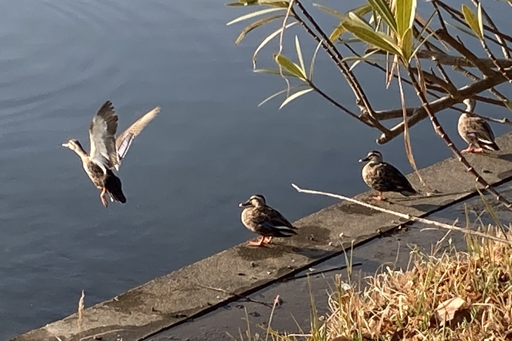 実に暖かかった アイキャッチ