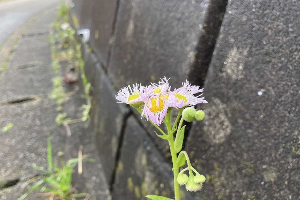 雨は夜中にやんで アイキャッチ
