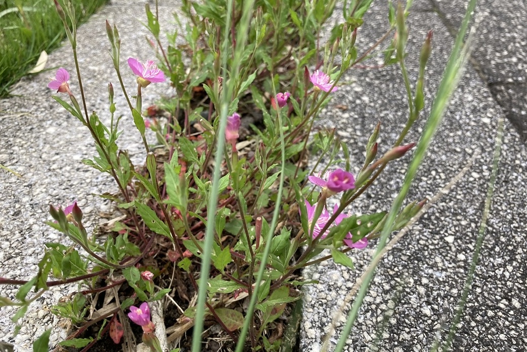 夜は風が強くなってきた アイキャッチ