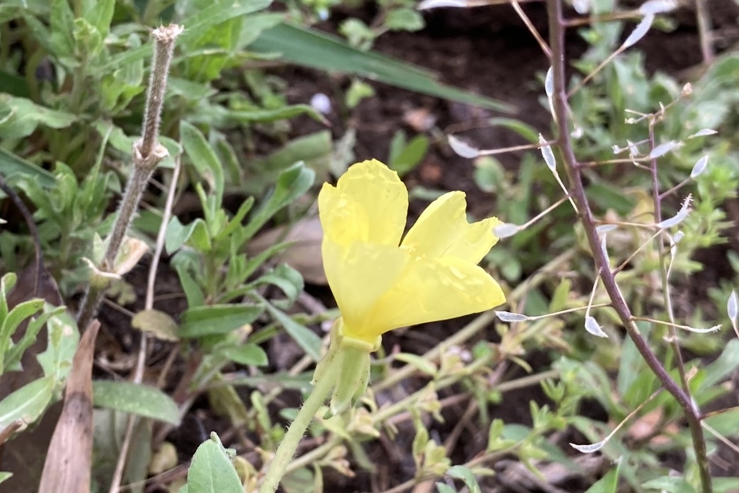 連休期間とごみ アイキャッチ