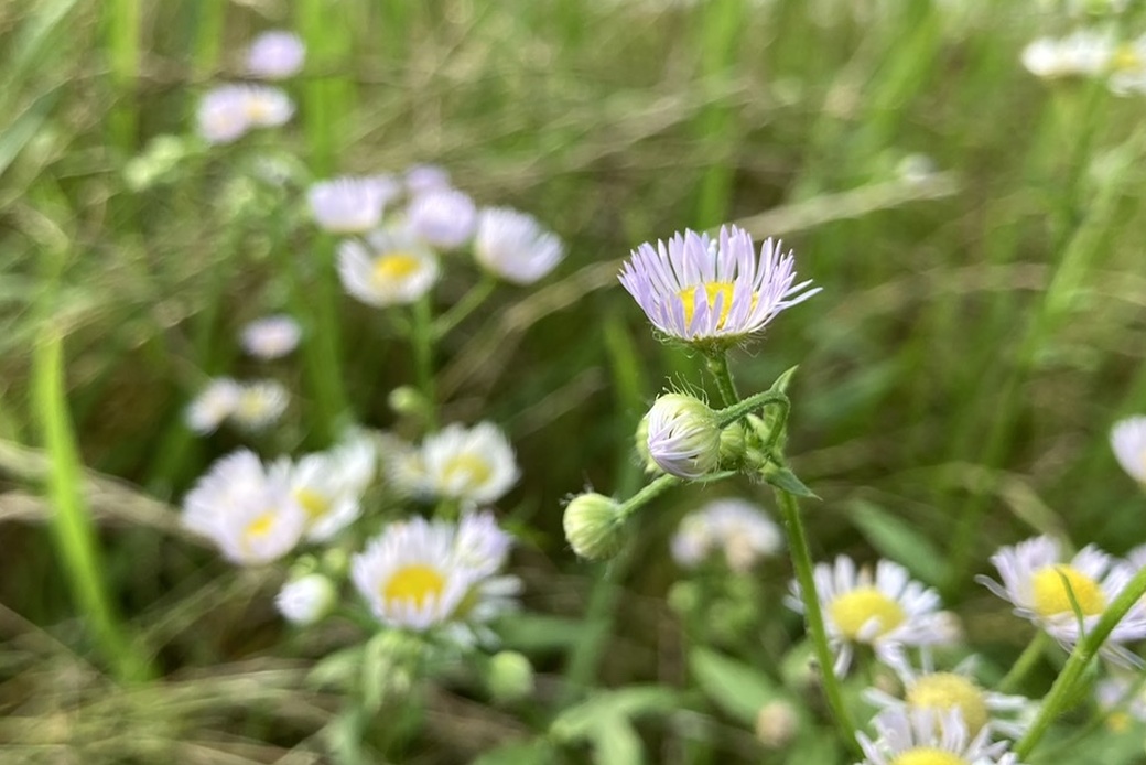 朝は霧雨 アイキャッチ