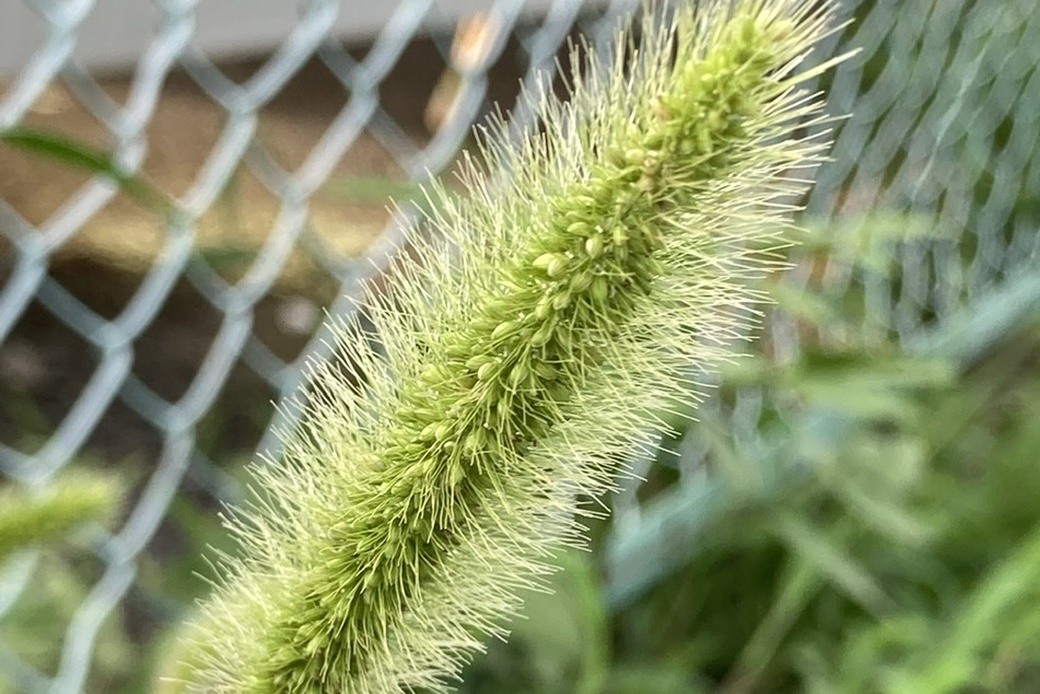 随分と開いた アイキャッチ