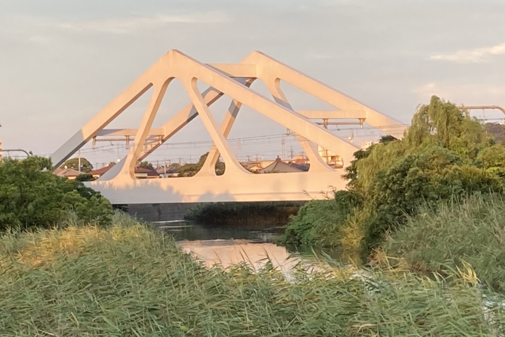 厳しい残暑 アイキャッチ