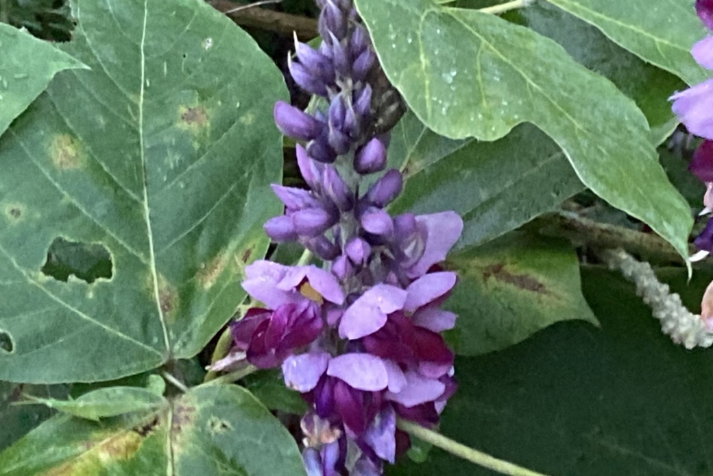 台風接近 アイキャッチ