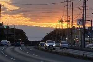 ランに最高の季節、pickupにも、、 アイキャッチ