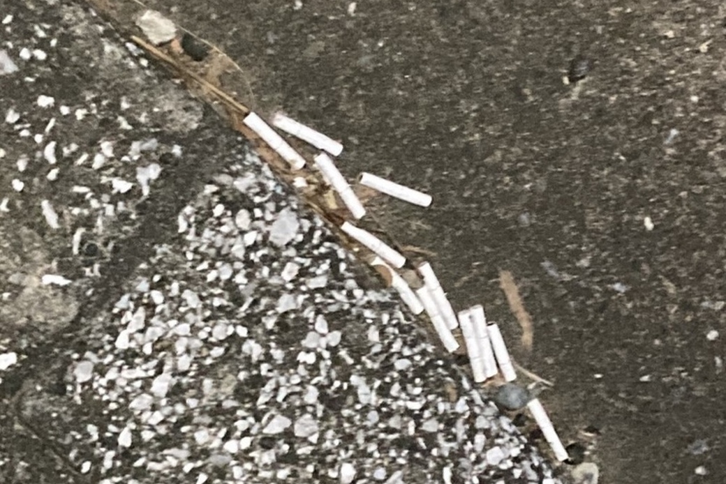 冬至を過ぎ アイキャッチ