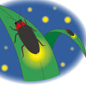 NPO法人ホタル燦燦会プロフィール