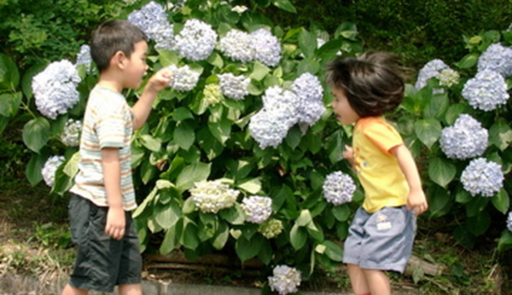 紀州街道を綺麗にしよう‼️ブルーサンタ2023 アイキャッチ