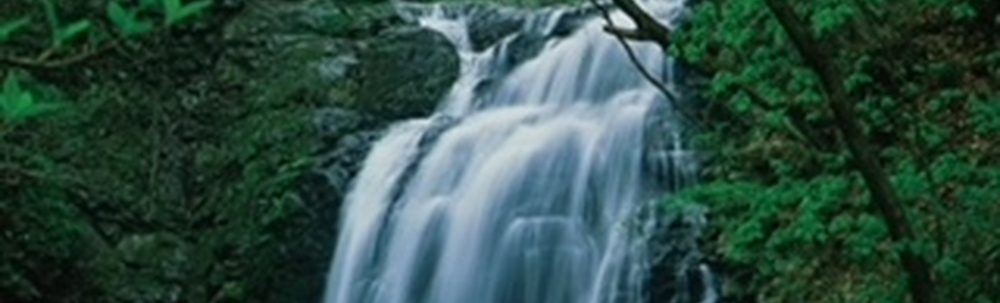 ジャパンだるまツアー カバー