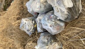 第三回　土器川中流　クリーン作戦 アイキャッチ