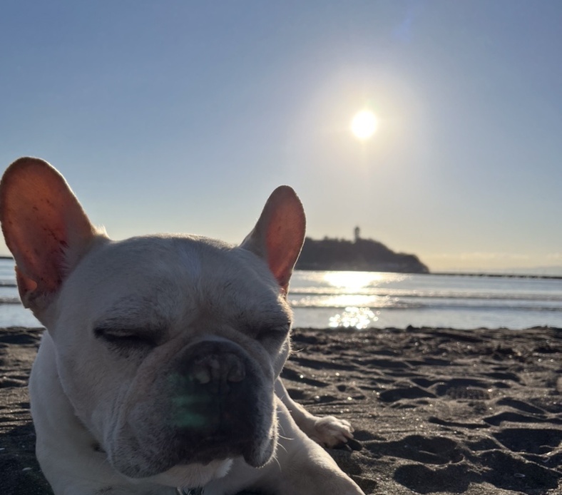 ビーチクリーンNO.2 アイキャッチ