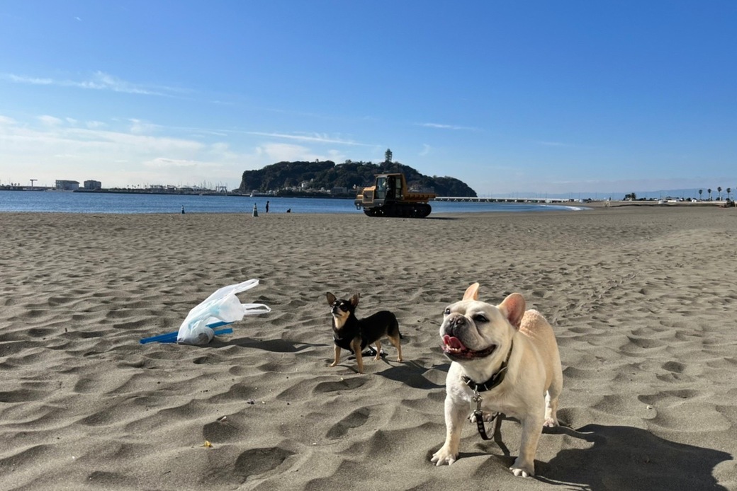 ビーチクリーンno.14 アイキャッチ