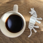 Blue Trash  D&C プロフィール