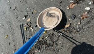 ビーチクリーン アイキャッチ