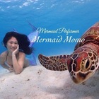 Ocean Diary プロフィール