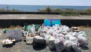 人魚からのお願い アイキャッチ