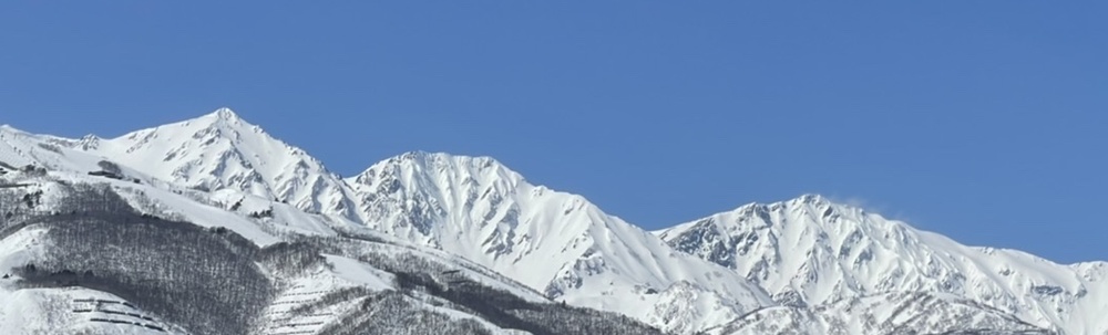信州〔上越〕継美隊 カバー