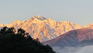 【夏の白馬を楽しむために！白馬五竜でゴミ拾い大作戦 ... アイキャッチ