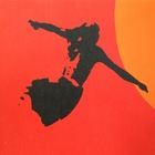 SCJ Beach Clean プロフィール