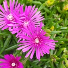 チームnocchi(のっち) プロフィール