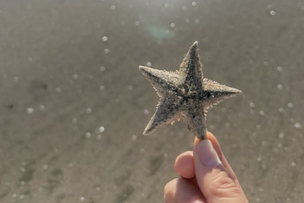 新年のご挨拶と2026年の想い アイキャッチ