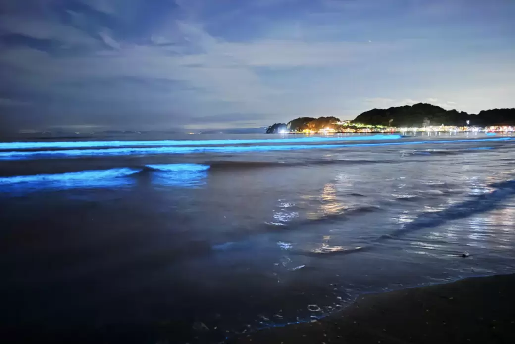 夜光虫 | BLUE SHIP