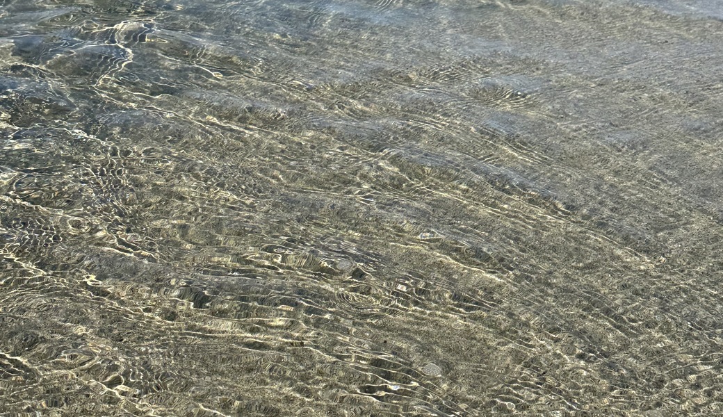 第36回目　新潟海さくら(4月) アイキャッチ