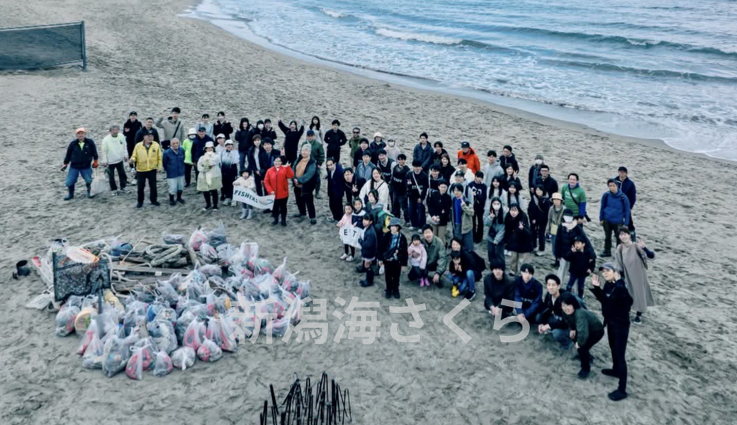 第36回目　新潟海さくら(4月)★2026スタートクリーン レポート