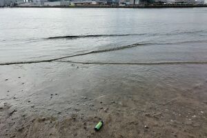 BLUE SHIPに仲間入り！ アイキャッチ