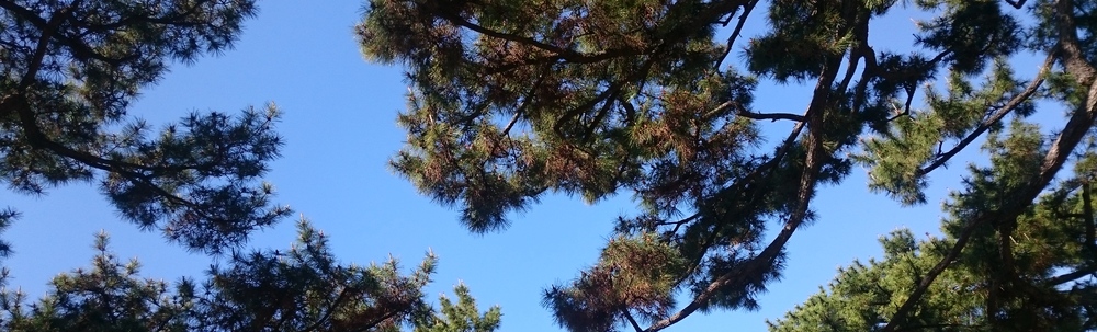 Sun=Arte Approach カバー