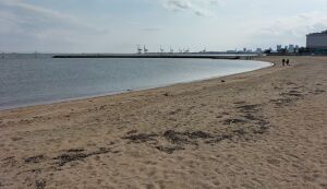 ビーチクリーン① アイキャッチ