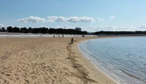 ビーチクリーン③ アイキャッチ