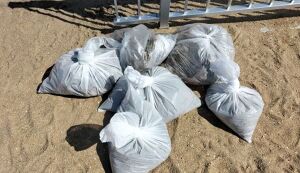 ビーチクリーン① アイキャッチ