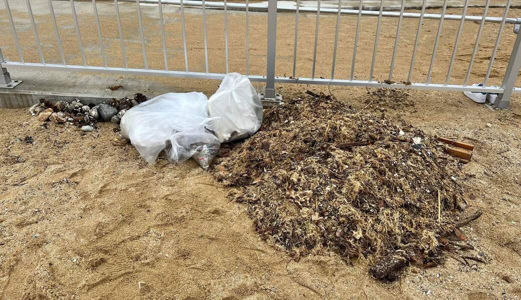 ビーチクリーン③ レポート