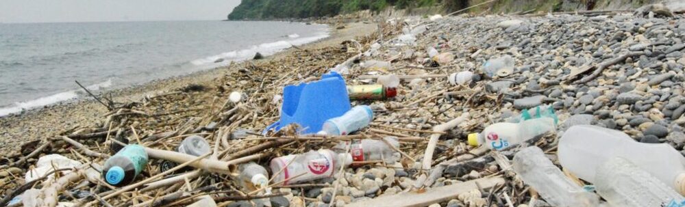 NPO法人クリーンオーシャンアンサンブル カバー