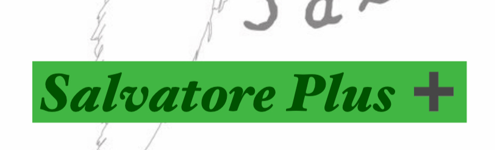 Salvatore Plus + カバー