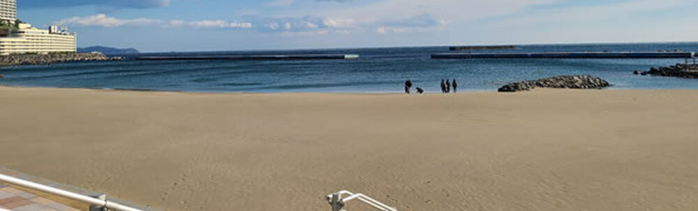 株式会社アルビノ カバー