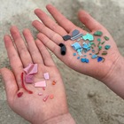 fish and sea プロフィール