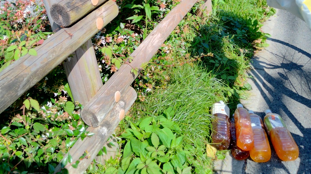 吞川周辺クリーン レポート