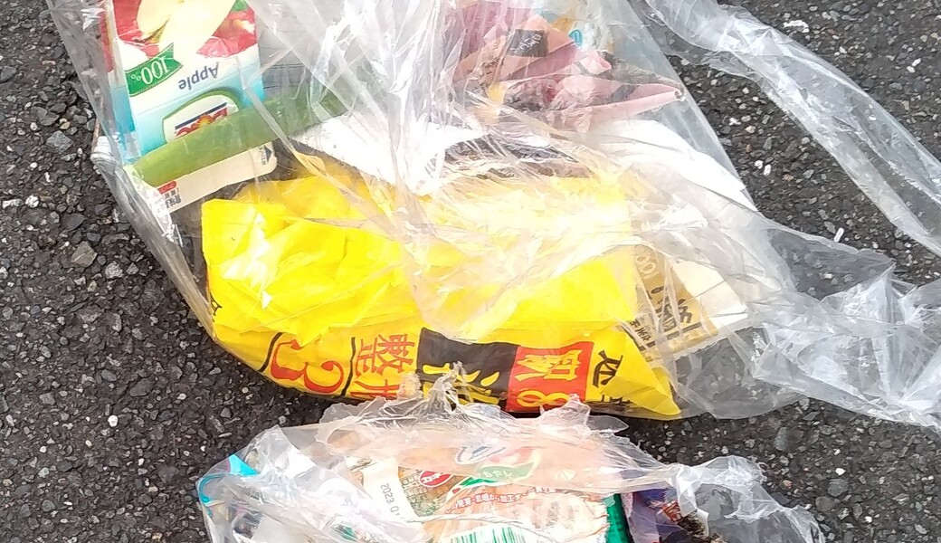 呑川ちょうえい橋クリーン レポート